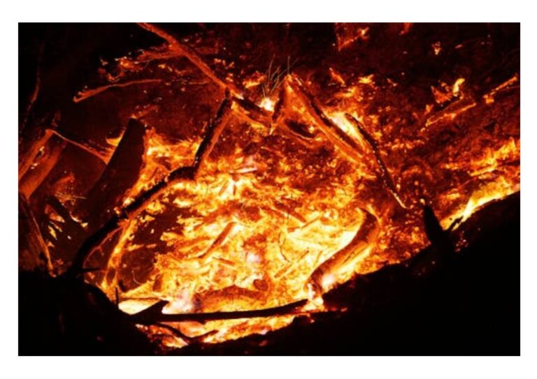 الخَسَارَةِ الحَقِيقِيَةُ