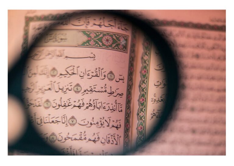 حَقِيقَةُ الدُّنْيَا